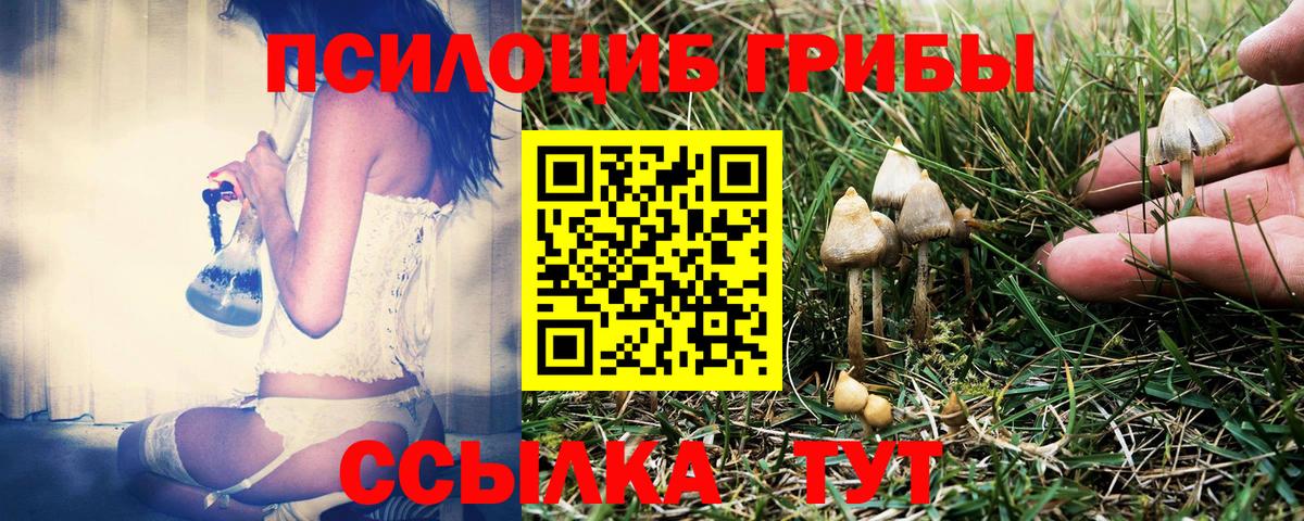 Галлюциногенные грибы мухоморы Удомля